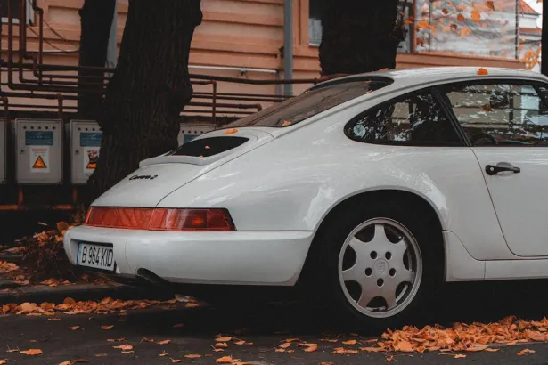 Playerz Kaszinó Android/iOS Alkalmazás